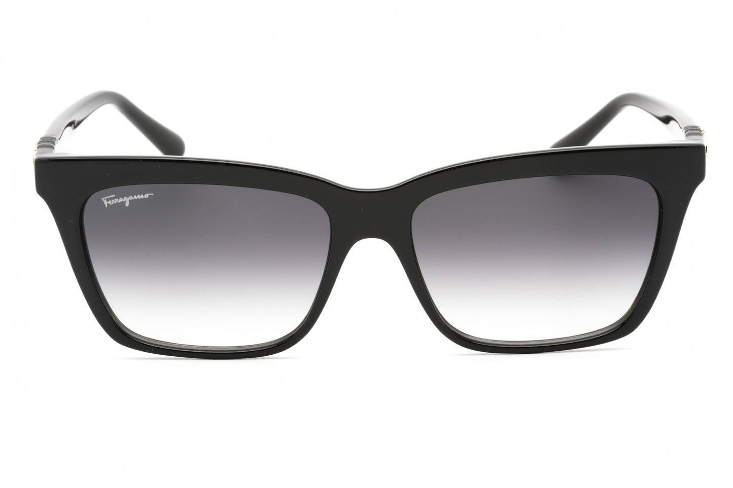 Salvatore Ferragamo SF1027S-001 55mm