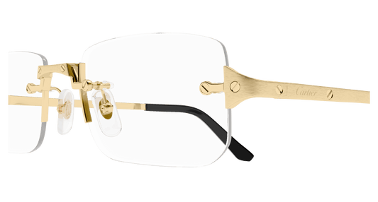 Cartier CT0479o-001 54