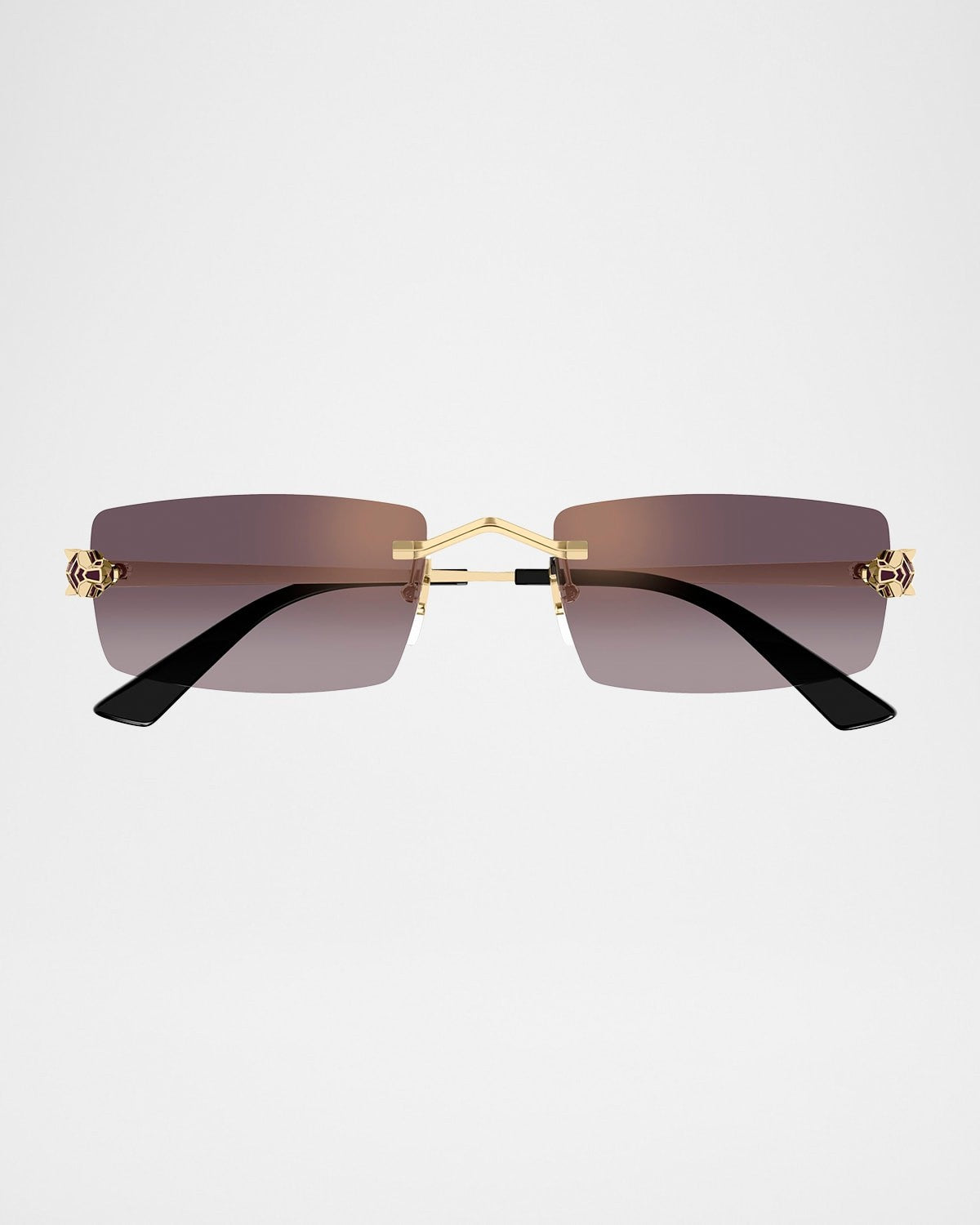 Cartier CT0598S-005 55mm