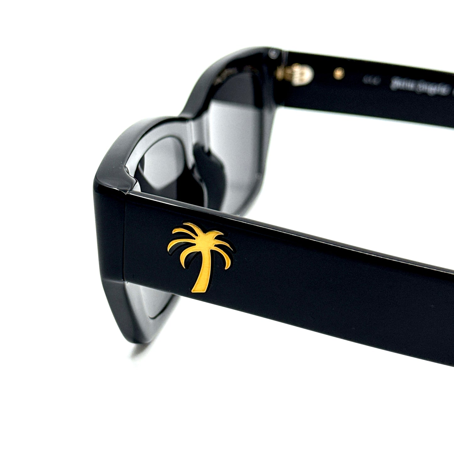 PALM ANGELS Sunglasses PERI034 1007