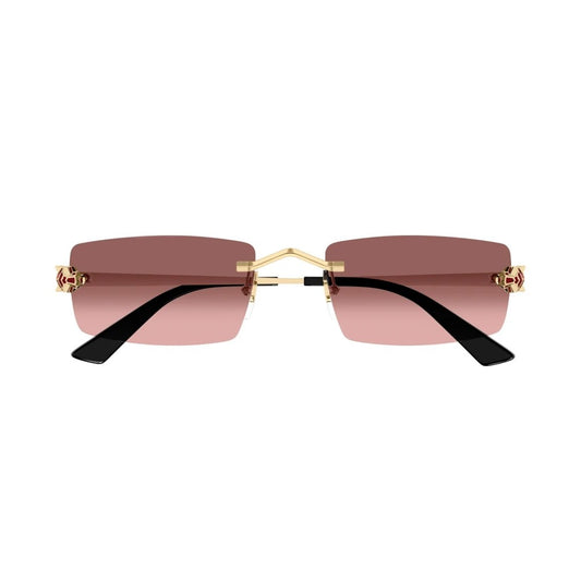 Cartier CT0598S-004 55mm