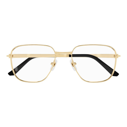 Cartier CT0553o-001 54mm