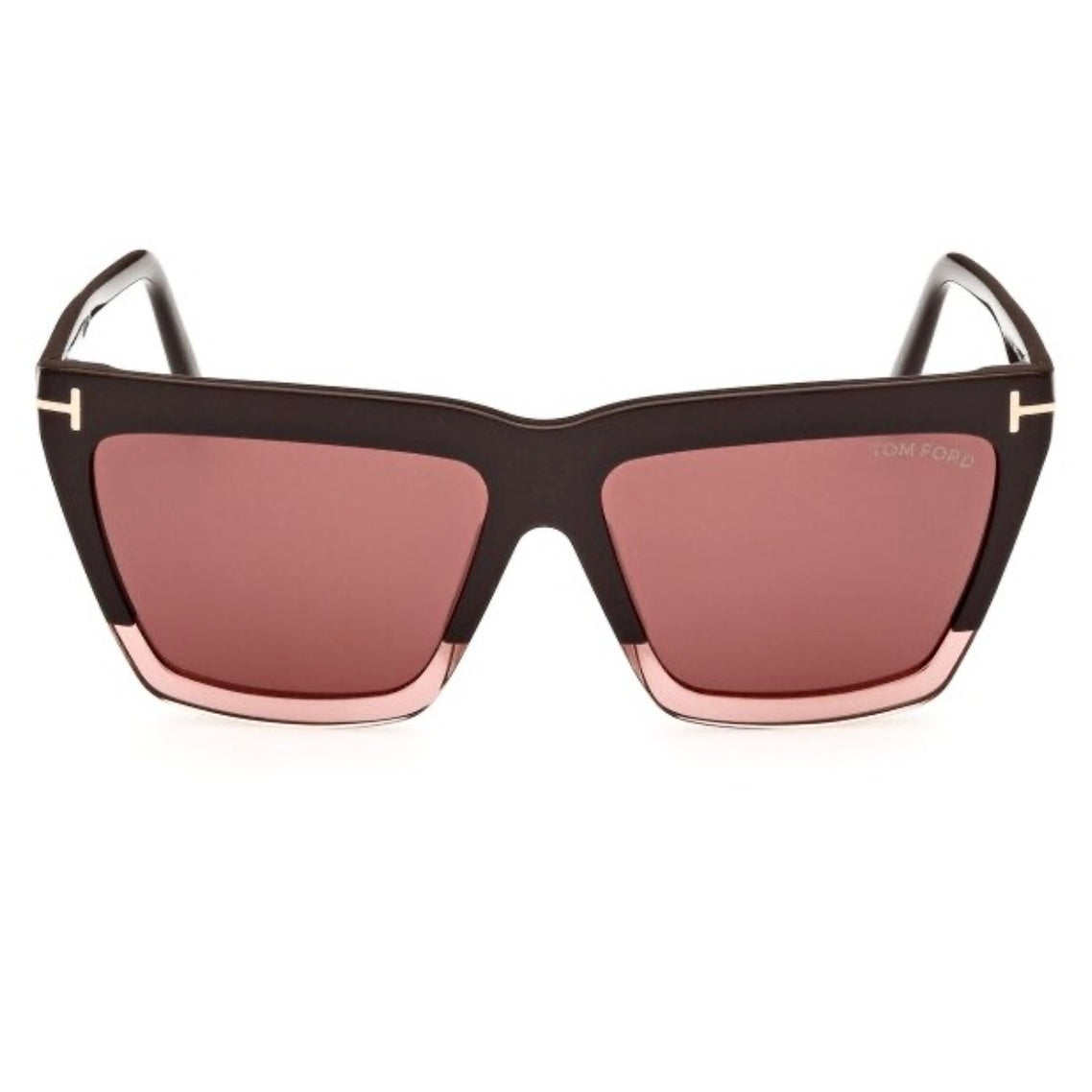 TOM FORD Eden Sunglasses TF1110 50Z