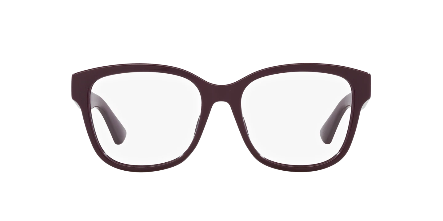 Gucci GG1340o-004 54