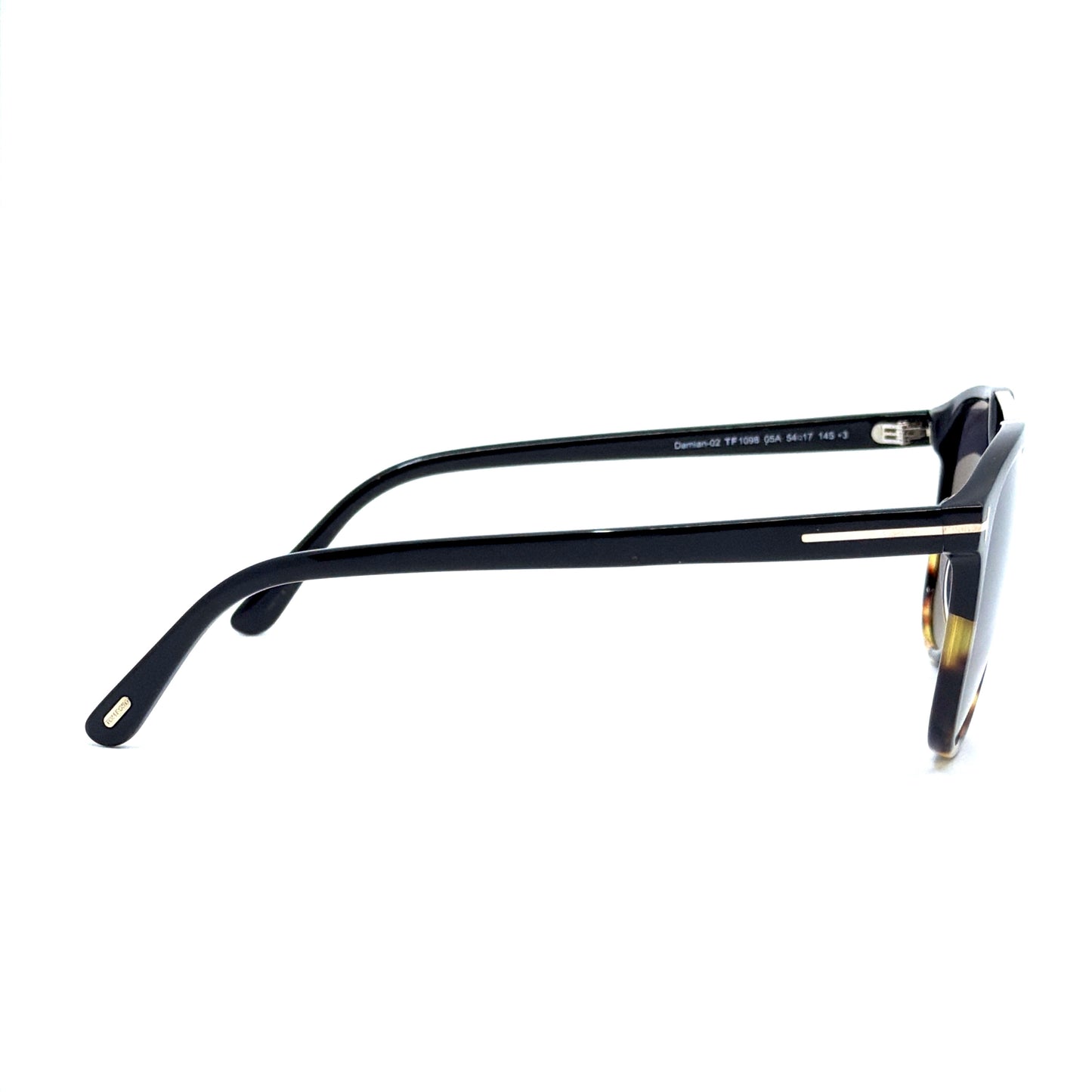 TOM FORD Damian-02 Sunglasses TF1098 05A