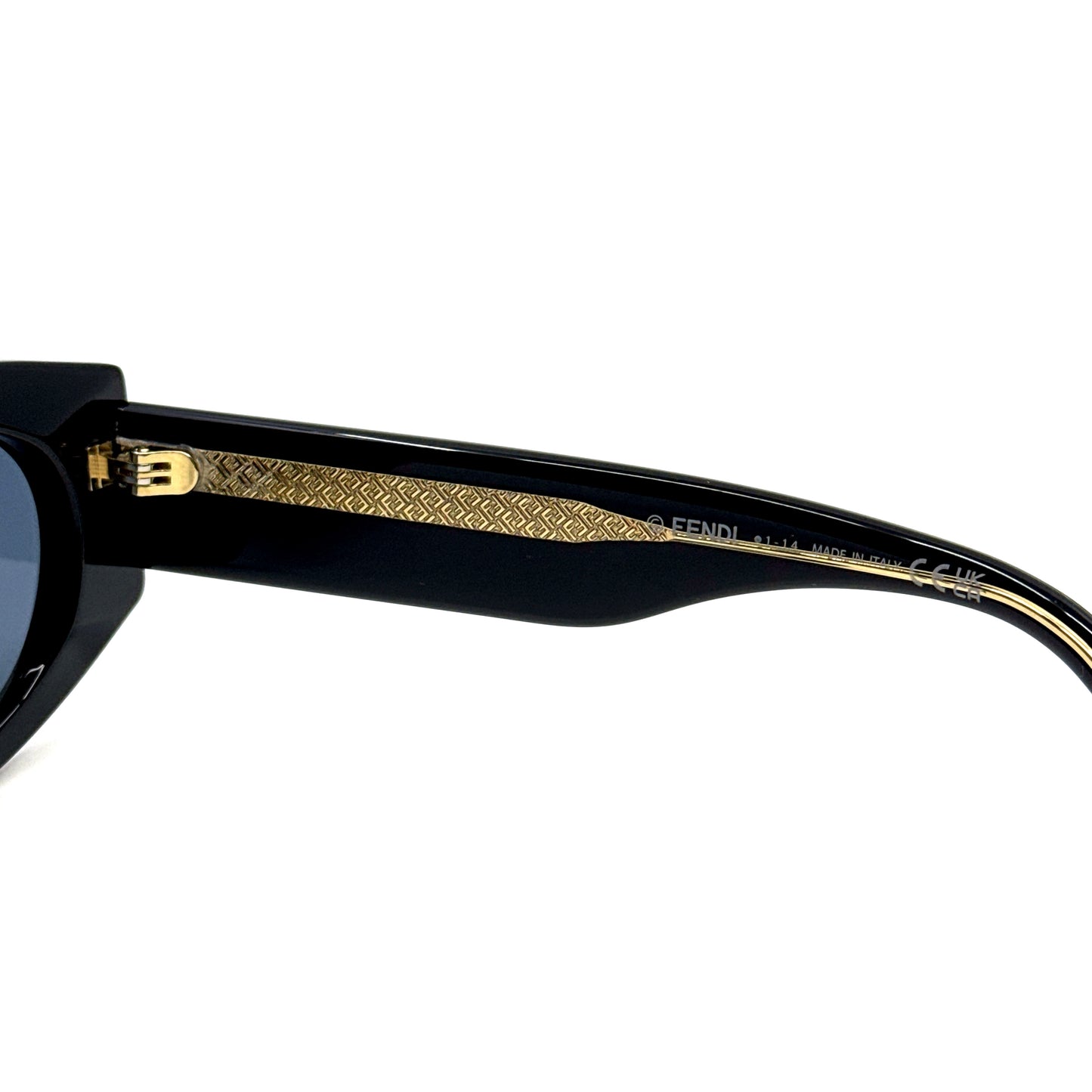 FENDI Sunglasses FE40125I 01V