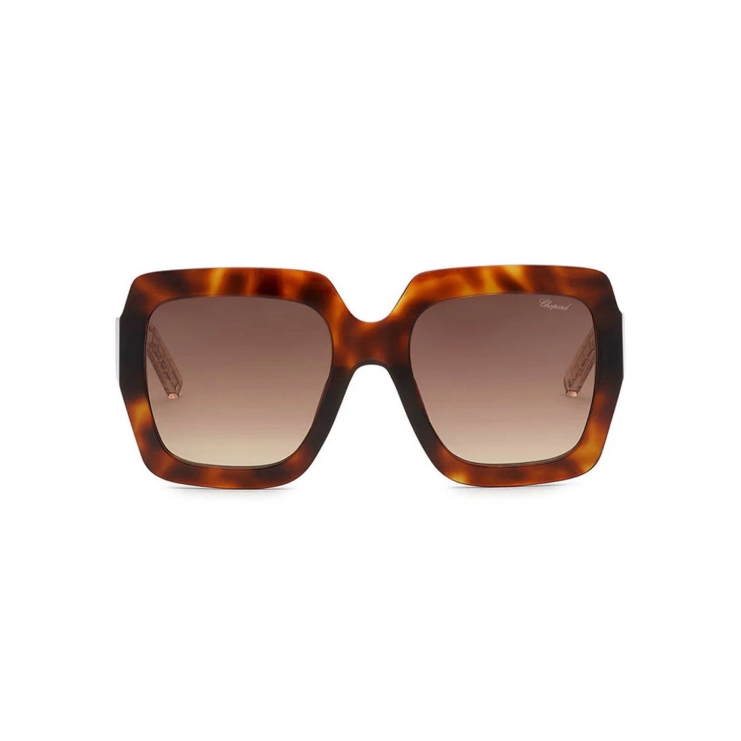New Chopard SCH363M 0909 Shiny Havana Women Sunglasses Authentic