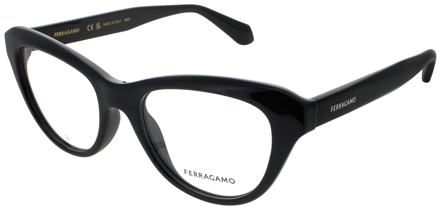 Salvatore Ferragamo SF2989E-001-51 51mm