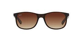 Ray Ban RB4202-6073-13-55