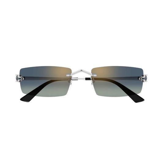 Cartier CT0598S-003 55mm