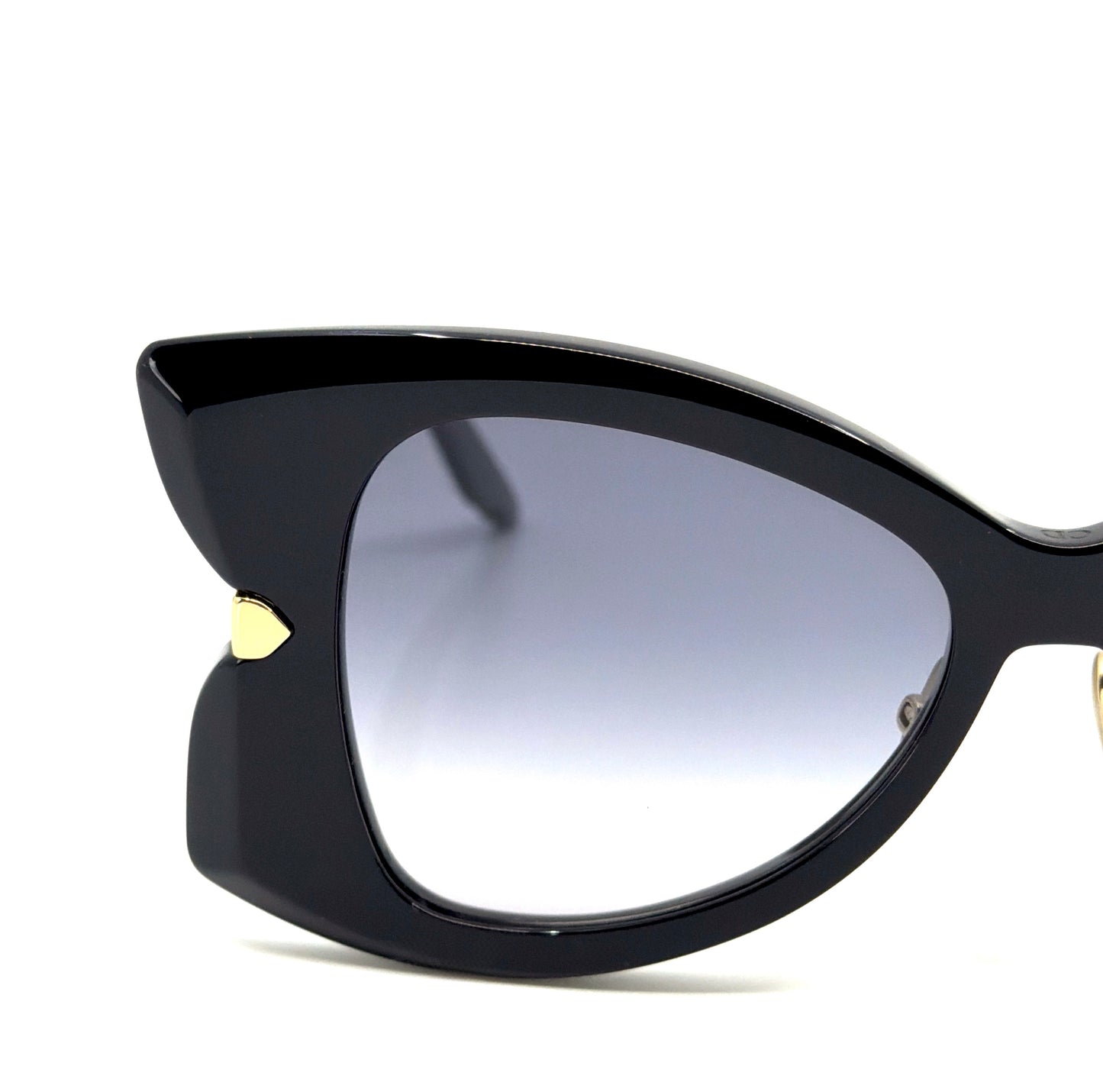 CHRISTIAN DIOR Sunglasses DiorButterfly S1F 10A1