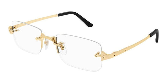 Cartier CT0479o-001 54