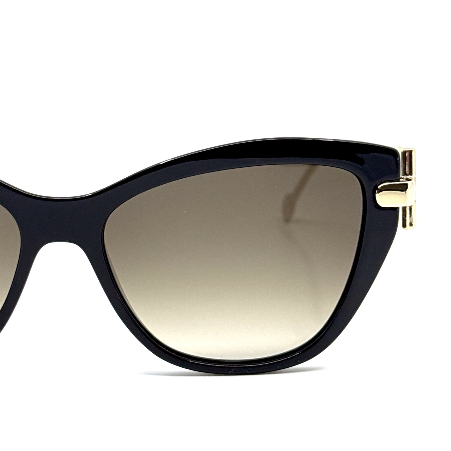 SALVATORE FERRAGAMO Sunglasses SF928S 001