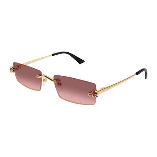 Cartier CT0598S-004 55mm