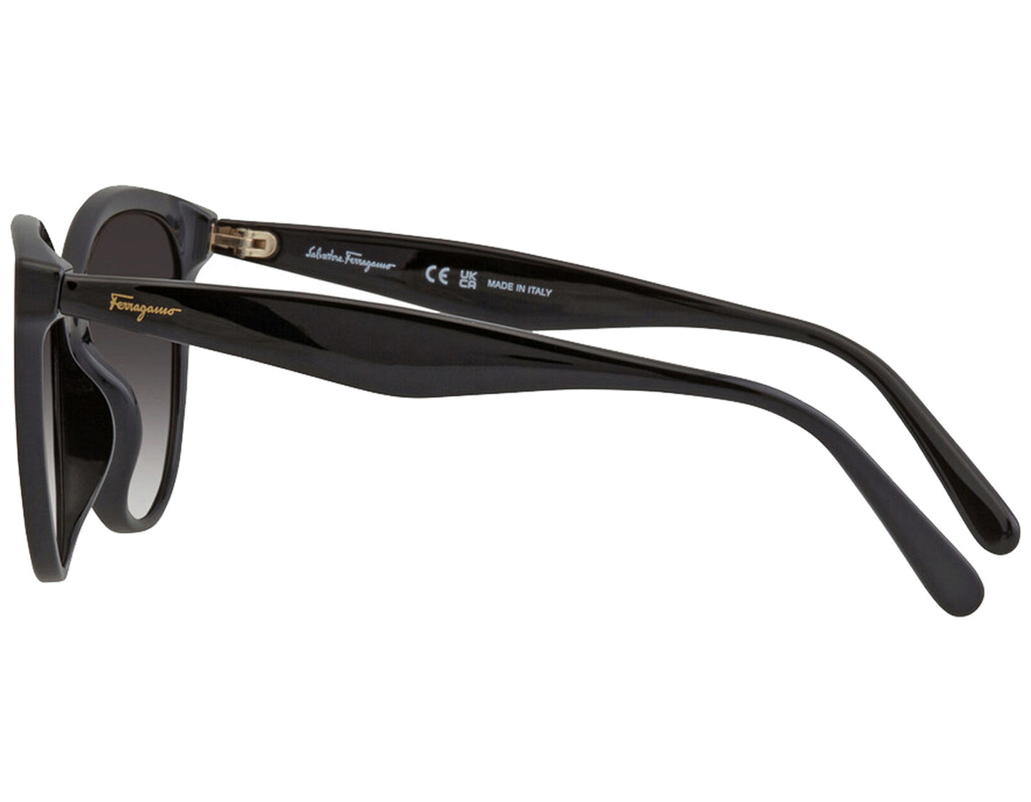 Salvatore Ferragamo SF1073S-001-5417