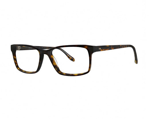 Badgley Mischka BM-STAMMOND-TORTOISE-54