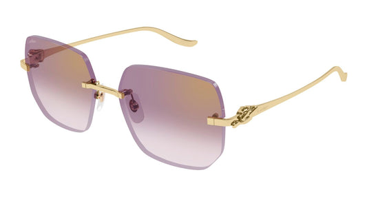 Cartier CT0549S-004 57