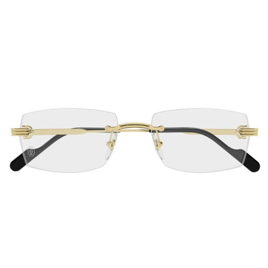Cartier CT0578o-001 55