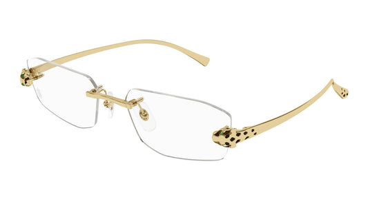 Cartier CT0494o-001 55