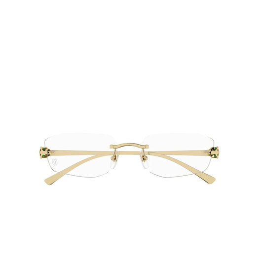 Cartier CT0494o-001 55