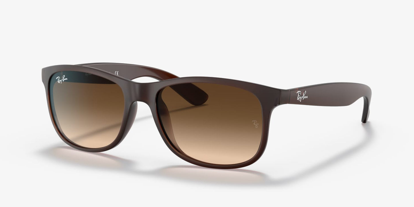 Ray Ban RB4202-6073-13-55