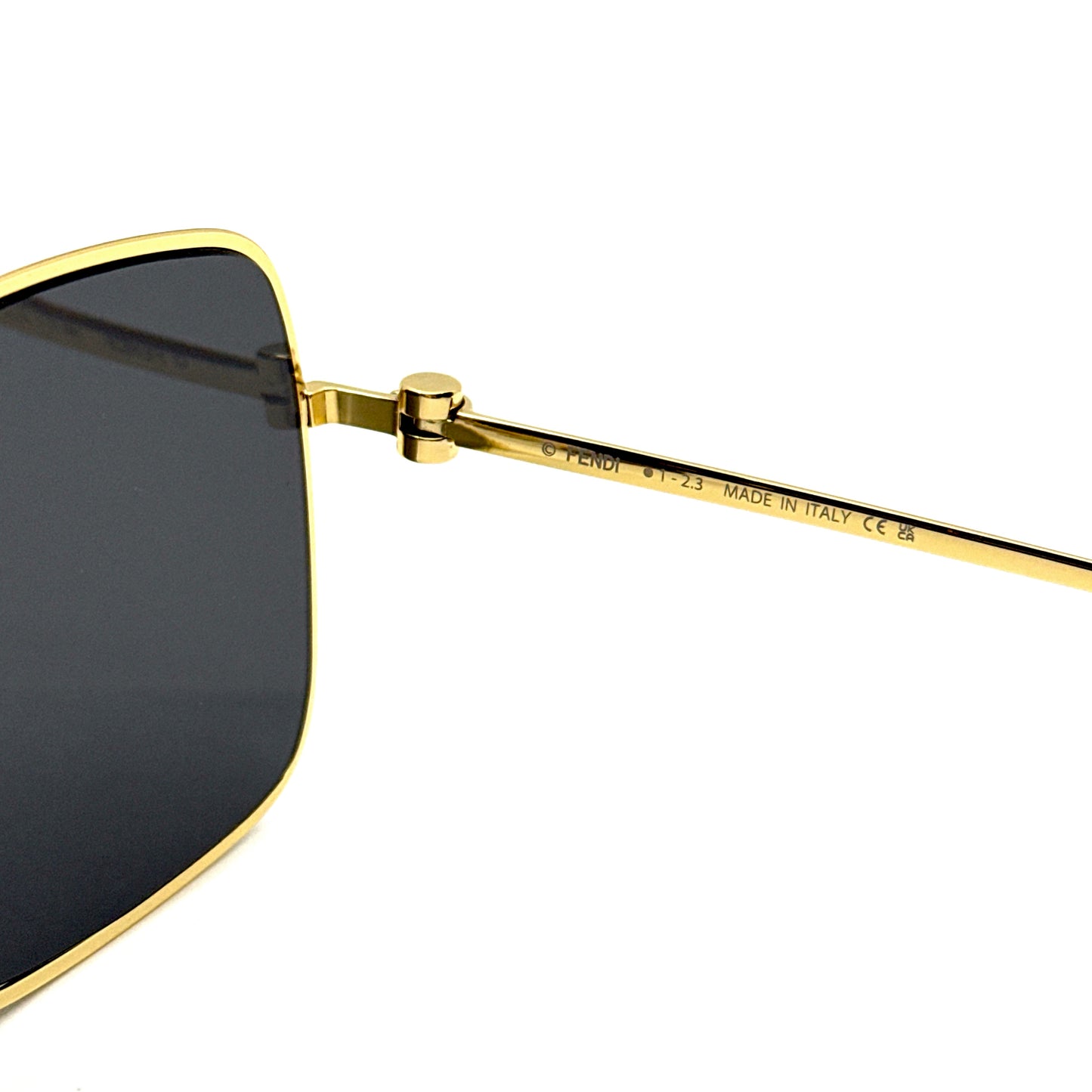 FENDI Sunglasses FE40123U 30A