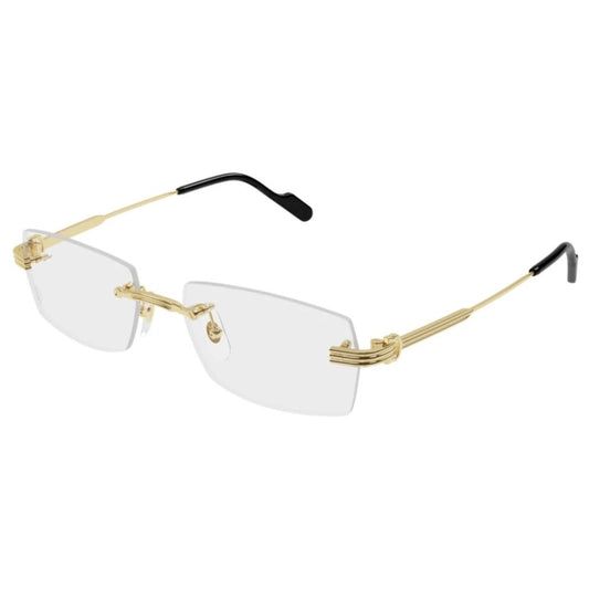Cartier CT0578o-001 55