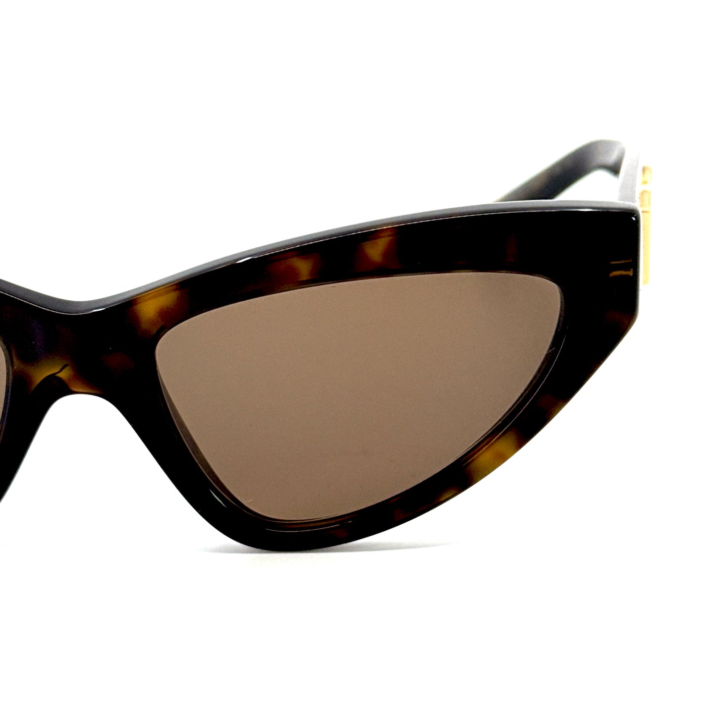 DOLCE & GABBANA Sunglasses DG4439 502/73