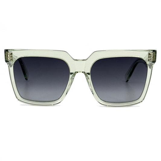 CELINE Sunglasses CL4055IN 93B