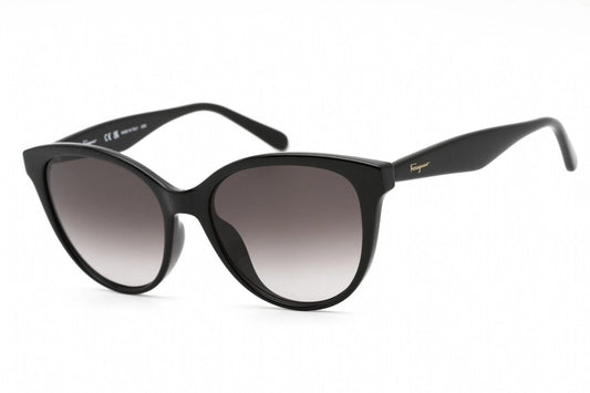 Salvatore Ferragamo SF1073S-001-5417