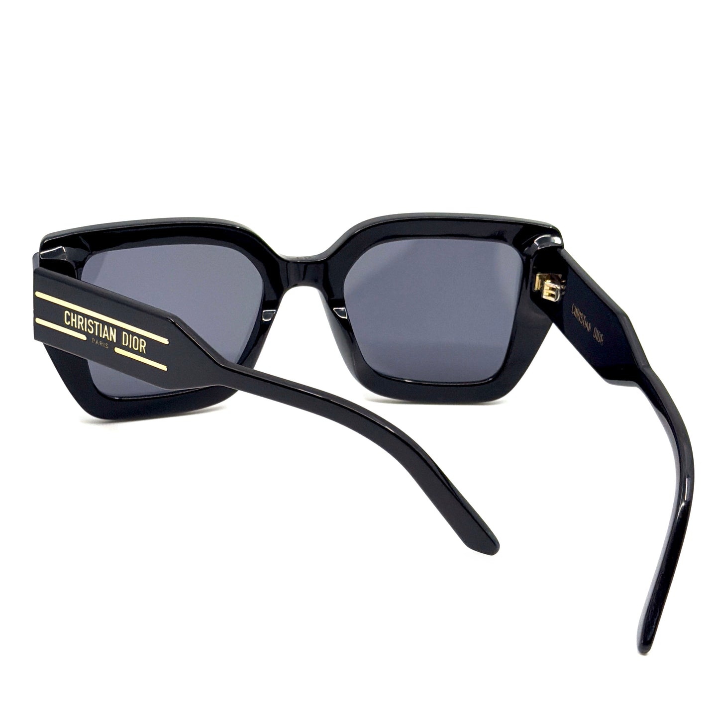 CHRISTIAN DIOR Sunglasses DiorSignature S14I 10A0
