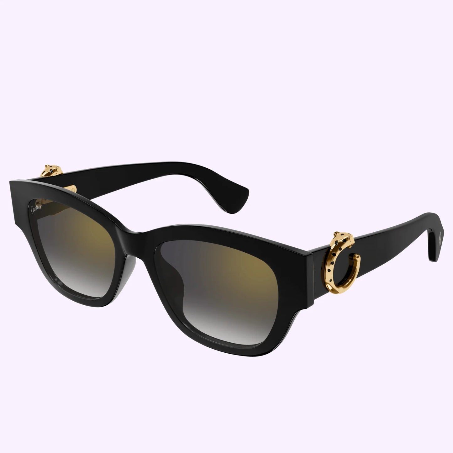 Cartier CT0548SA-001 55mm