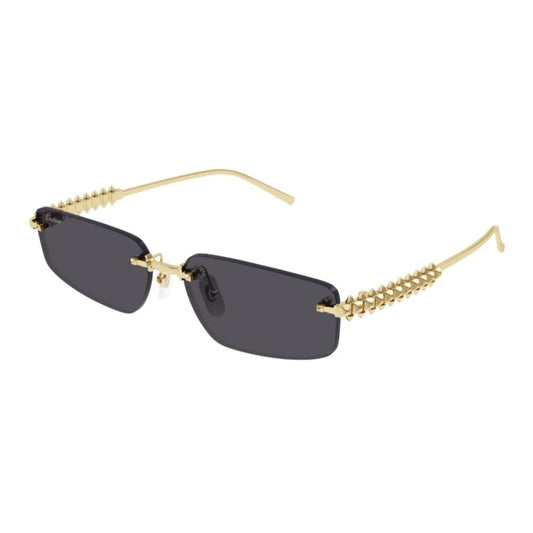 Cartier CT0544S-002 58mm