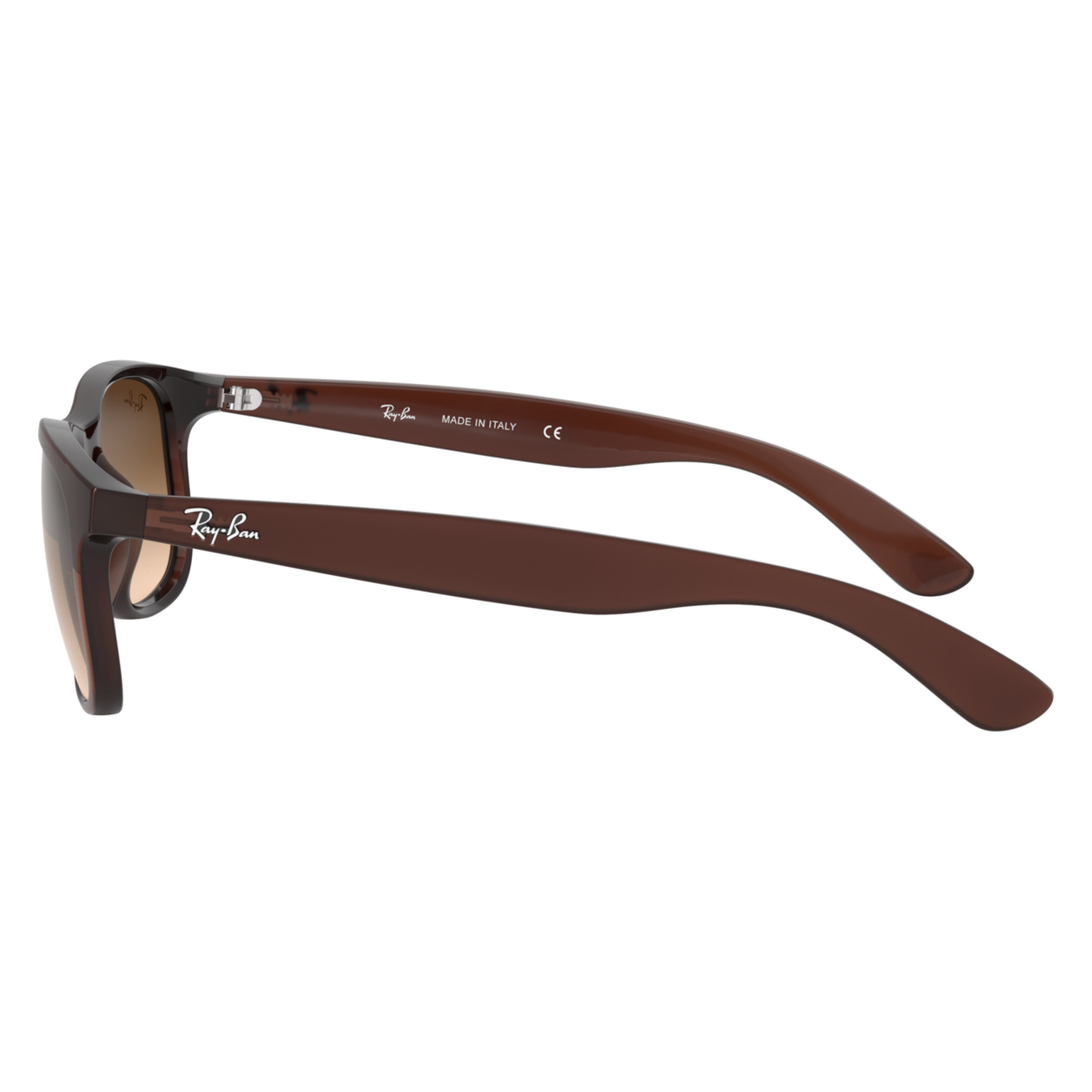 Ray Ban RB4202-6073-13-55