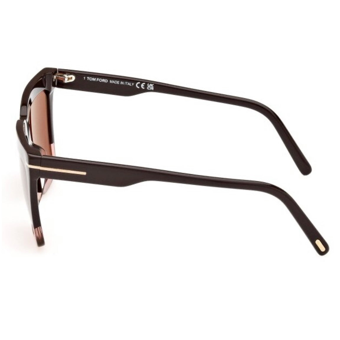 TOM FORD Eden Sunglasses TF1110 50Z