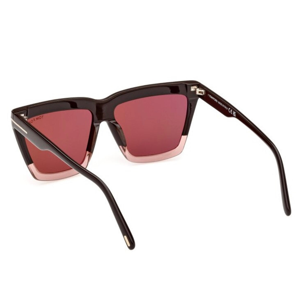 TOM FORD Eden Sunglasses TF1110 50Z