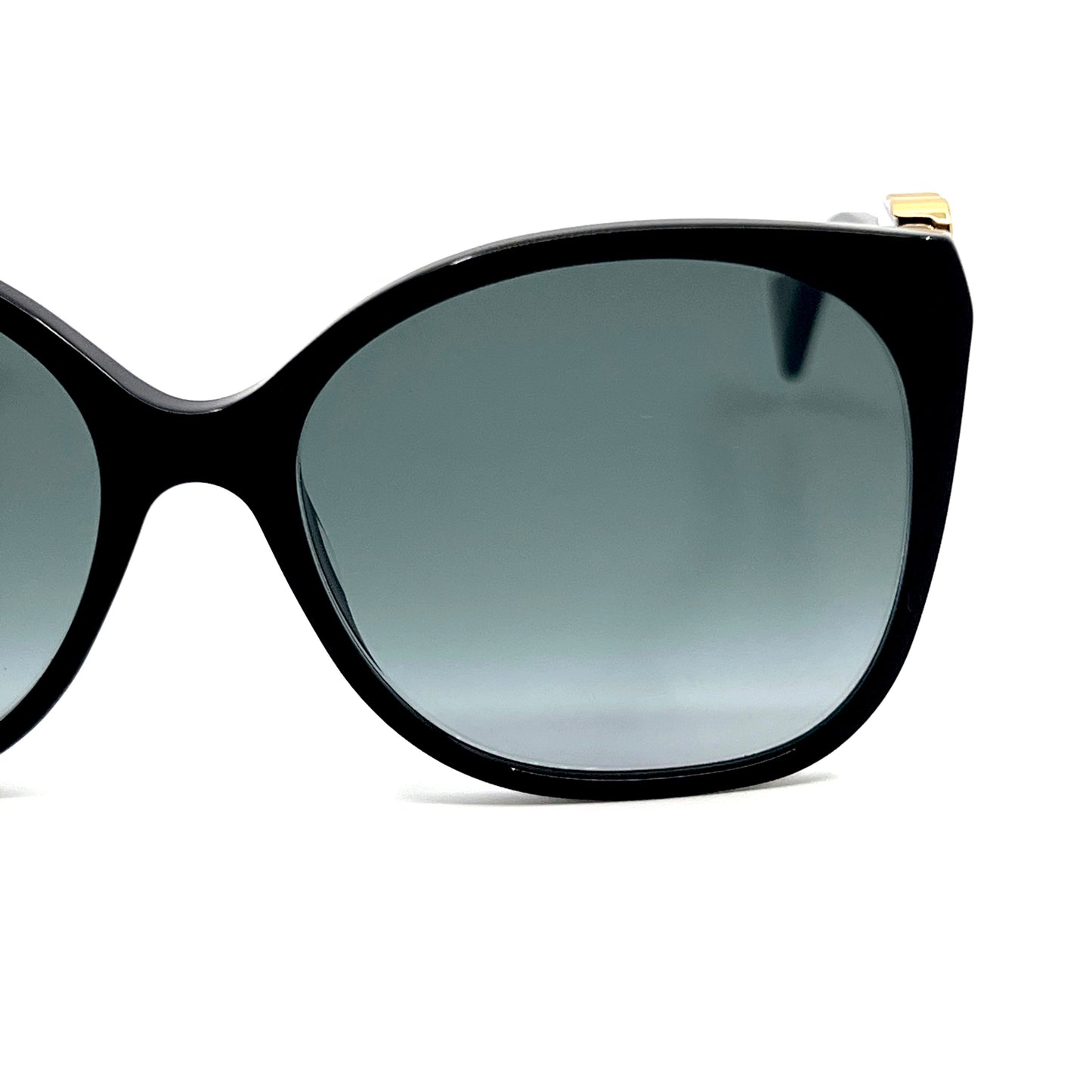 GUCCI Sunglasses GG1010S 001