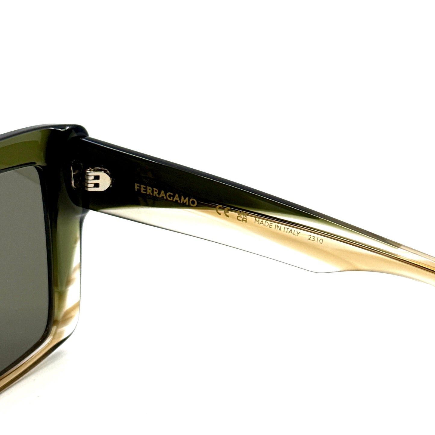 SALVATORE FERRAGAMO Sunglasses SF1060SN 263