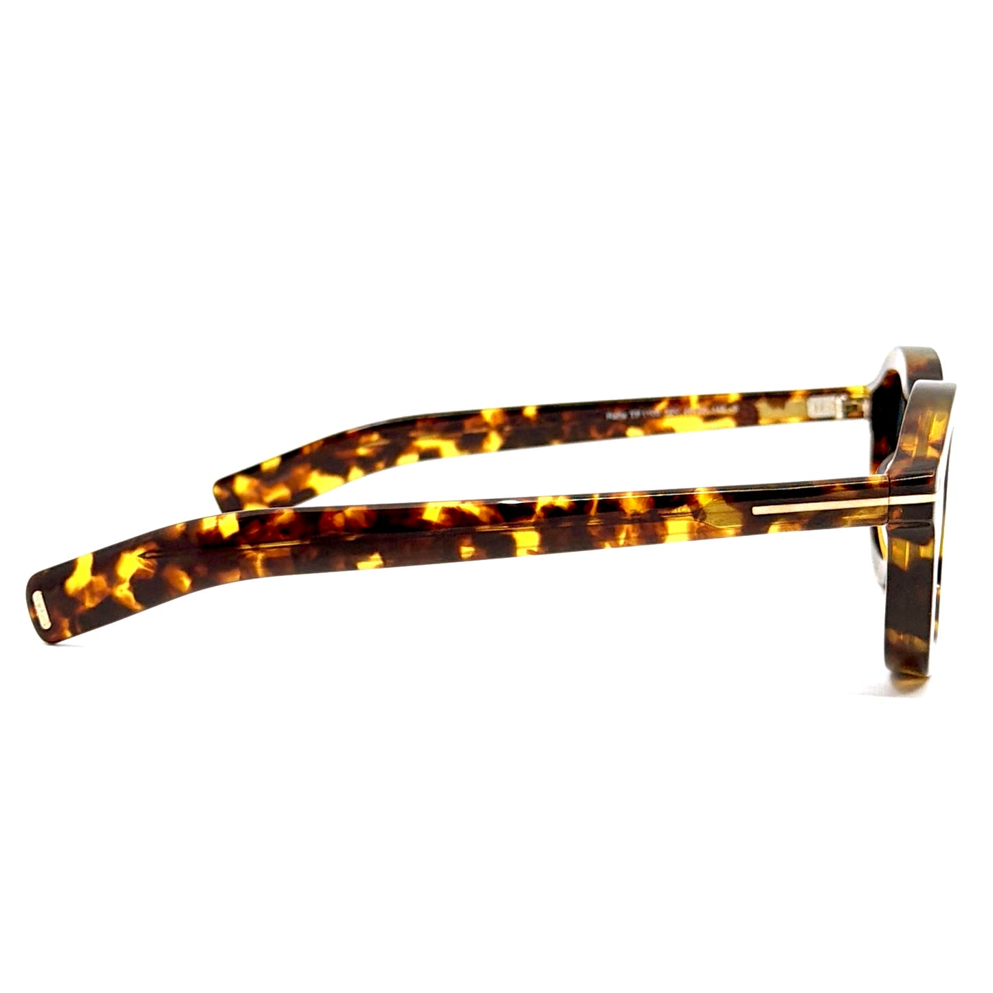 TOM FORD Raffa Sunglasses TF1100 52V