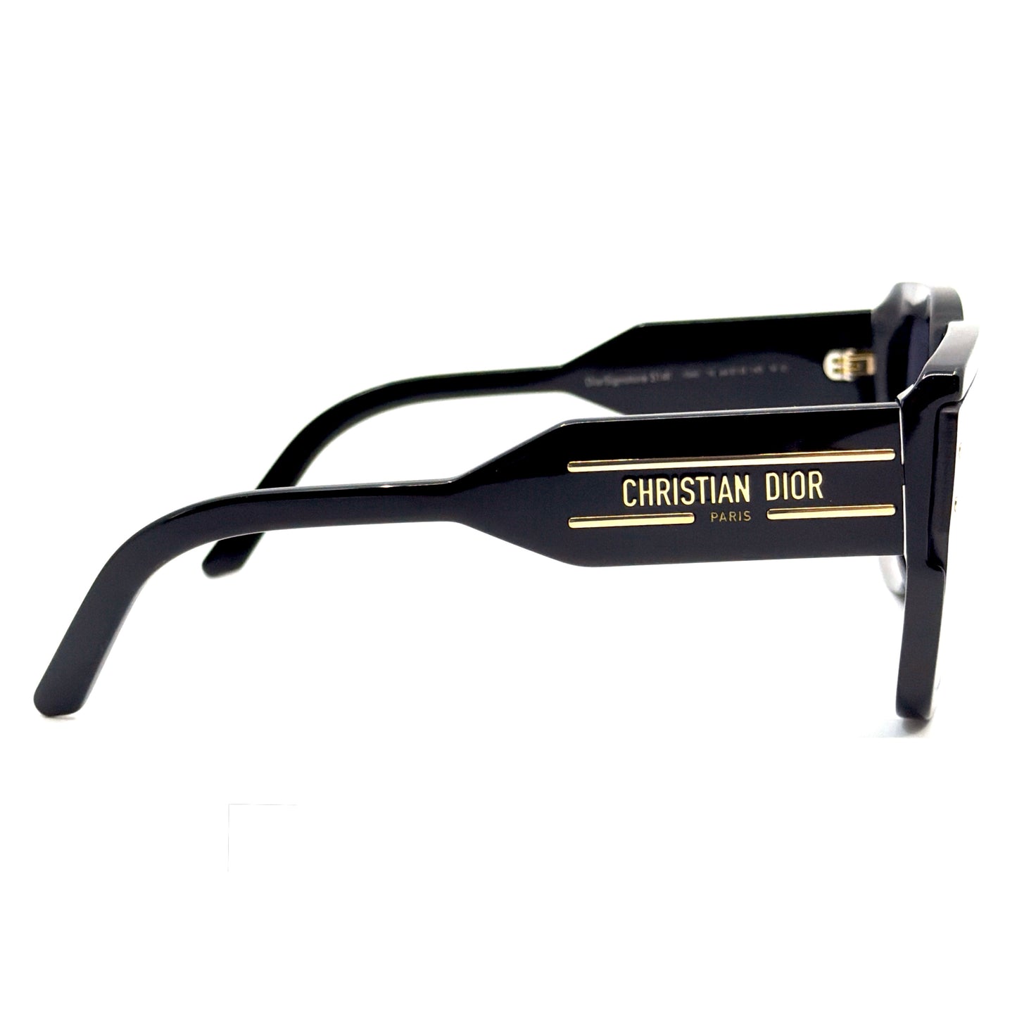 CHRISTIAN DIOR Sunglasses DiorSignature S14I 10A0