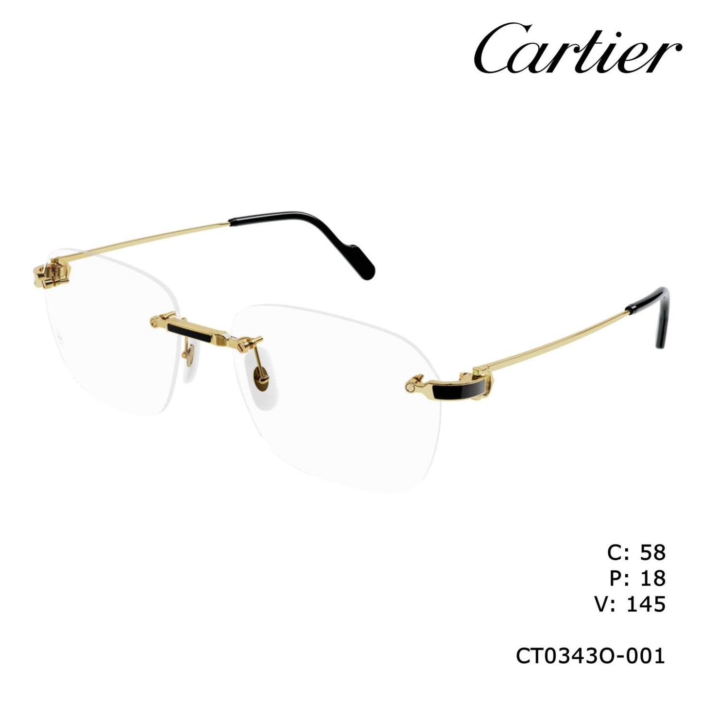Cartier CT0343o-001 58mm