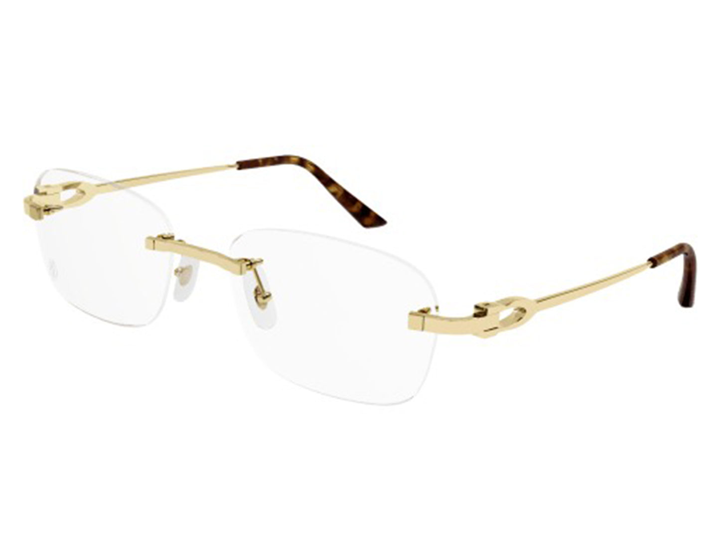 Cartier CT0290o-003 55