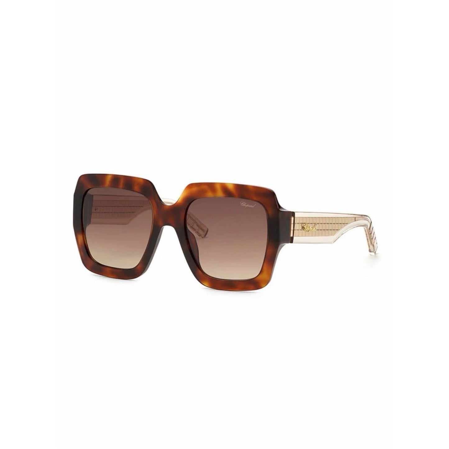 New Chopard SCH363M 0909 Shiny Havana Women Sunglasses Authentic