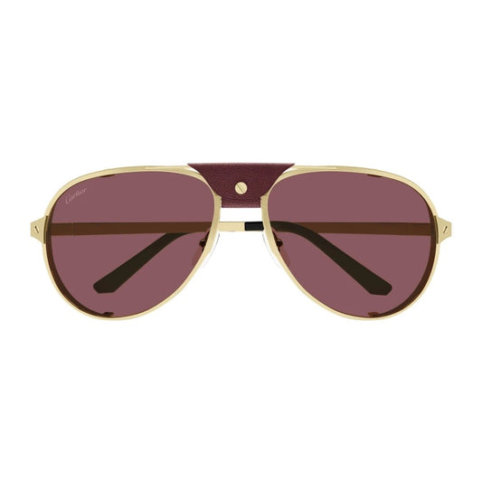 Cartier CT0296S-006 61mm
