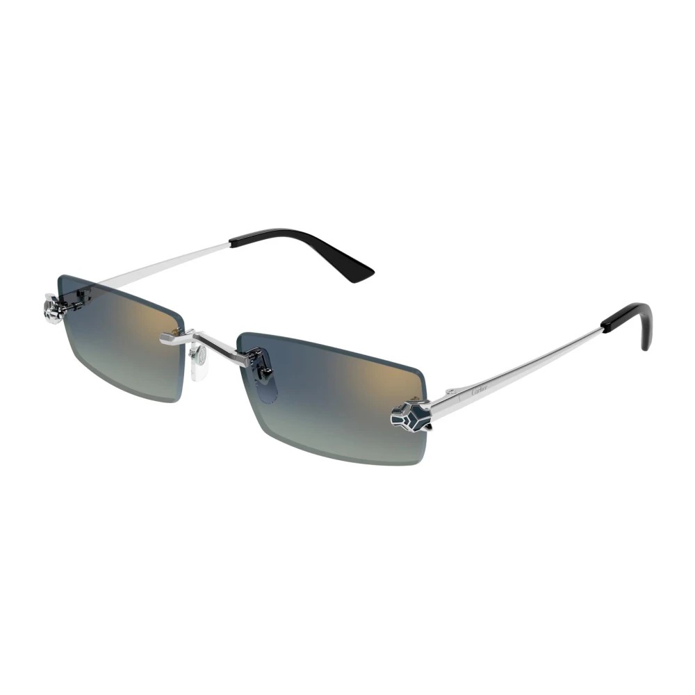 Cartier CT0598S-003 55mm
