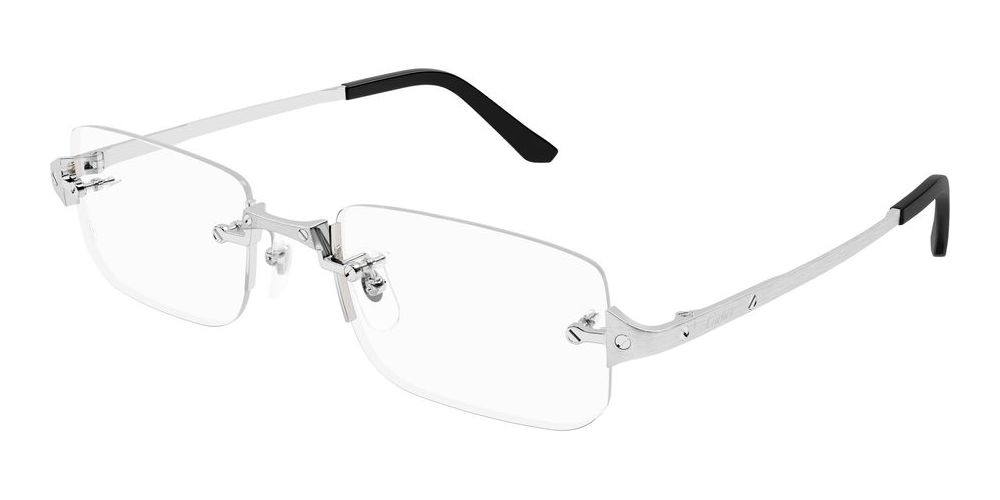 Cartier CT0479o-002 54
