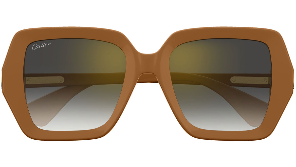 Cartier CT0507S-004 54