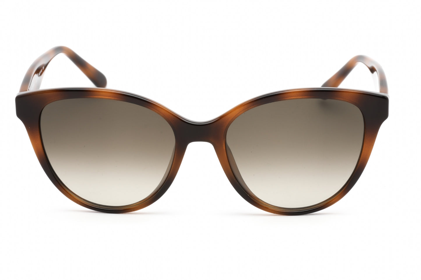 Salvatore Ferragamo SF1073S-240 54mm